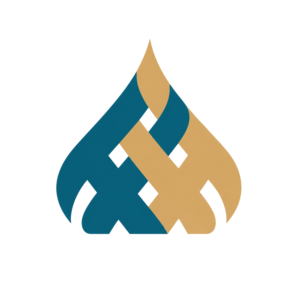 Logo Icon